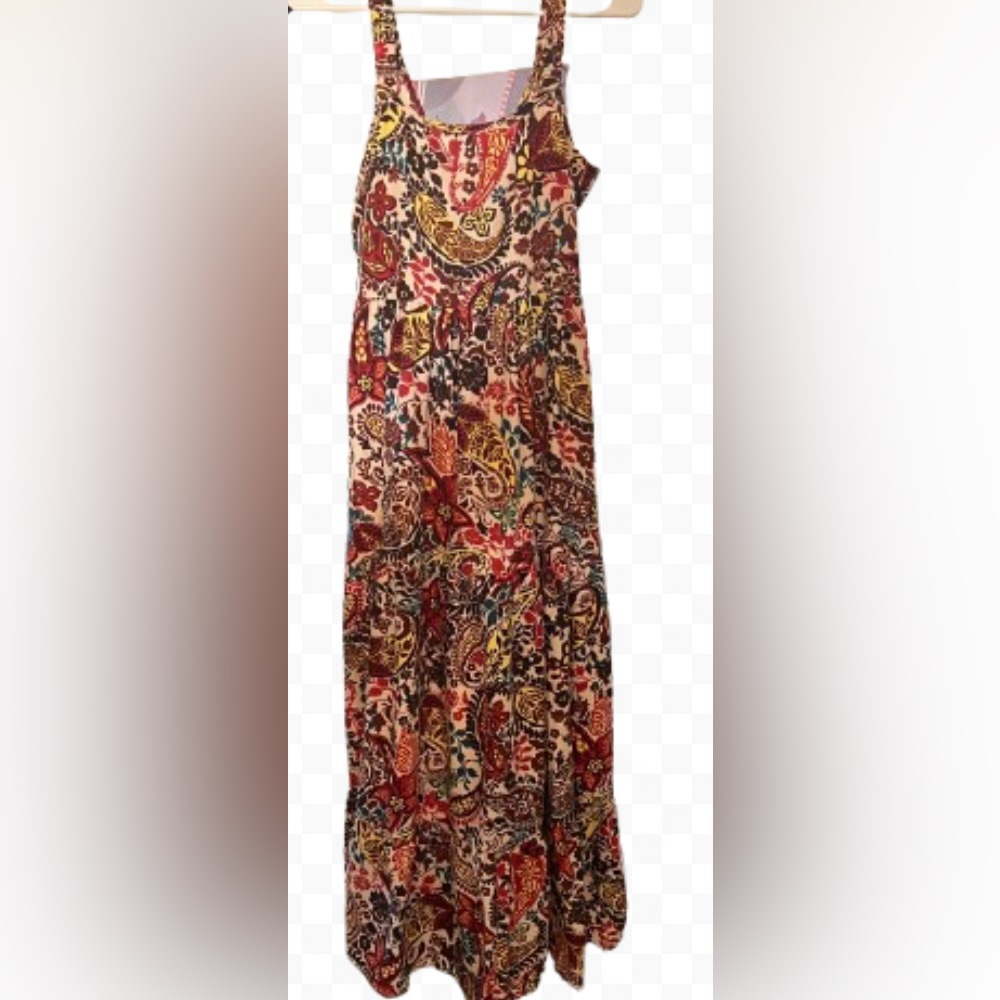 BOG Collective Floral Paisley Sleeveless Empire Waist Tie Back Maxi Dress Size S